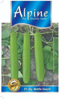 ALPINE HYBRIDE SEEDS Bottle Gourd. Seed
