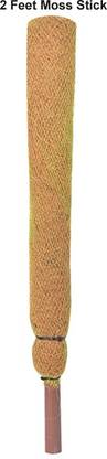 Divine Tree Fibre Moss Stick Pole for Climbing Money Plant (2 Feet) Plant Straightener