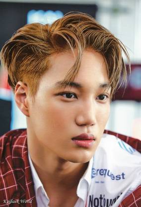 Exo K-Pop Boy Band Kai Baekhyun South Korean Group Matte Finish Poster Paper Print