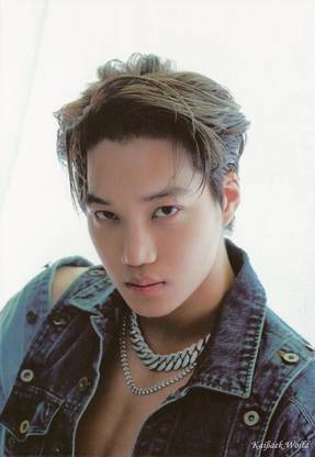Exo K-Pop Boy Band Kai Baekhyun South Korean Group Matte Finish Poster Paper Print