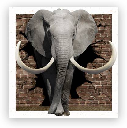 5D Photo Picture - Elephant Theme Photographic Paper