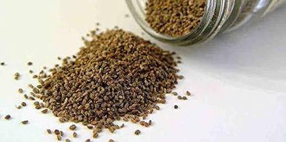 Multi Bazar Ajmoda Seeds Apium Graveolens Seeds Ajmod Beej Wild celery Seeds (1 kg) Seed