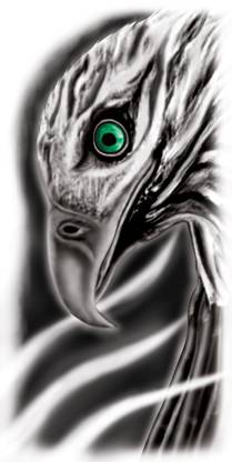 Ordershock Eagle Eye Tattoo Stickers For Male And Female Tattoo