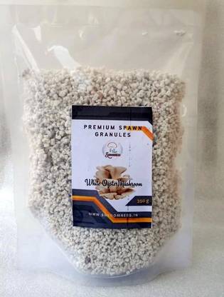 Shroomness White Oyster Mushroom, Spawn Granules (350g) Seed