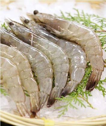 Fresh Meat INN White Prawns Whole