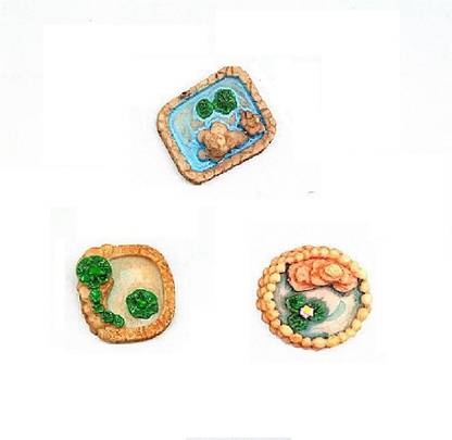 BHOOLU&GOOLU Simulation Miniature Pool Lotus Pond for Decoration - (Small Size) - 3 Pcs Set Decorative Showpiece  -  2 cm