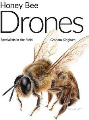 Honey Bee Drones