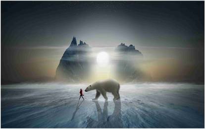 Bear Flex Poster For Room Mo-248 Photographic Paper