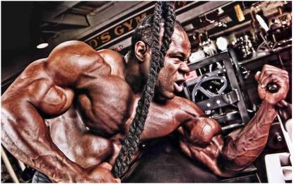 Body Builder Flex Poster For Room Mo-495 Photographic Paper