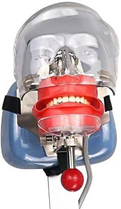 NMD NEXUS MEDODENT Dental Chair Phantom Head Model Dental Elevator