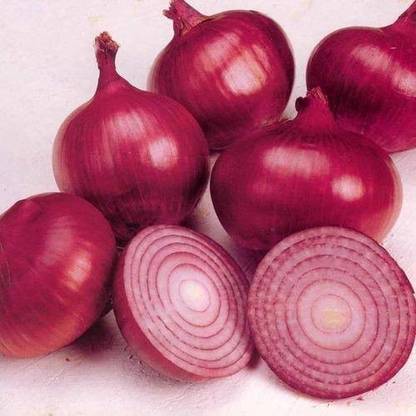 XOLDA Hybrid Onian Seed