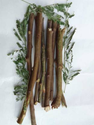 Sheetal Babool Datun Medium Toothbrush