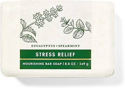 Bath and Body Works Eucalyptus Spearmint Stress Relief Soap