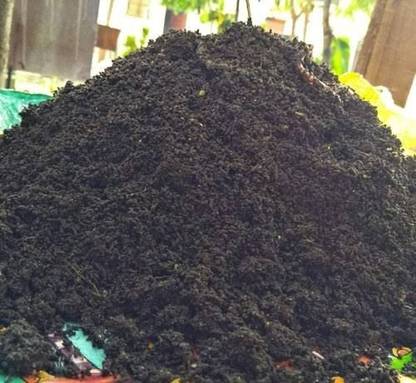 Aryavart KENCHUA KHAD Soil Manure