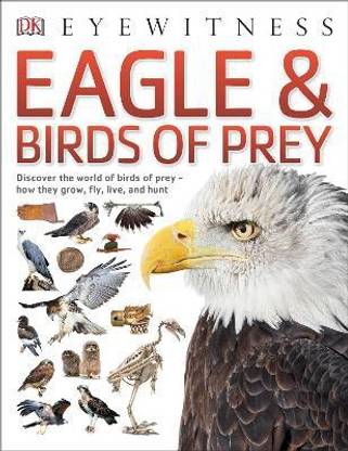 Eagle & Birds of Prey