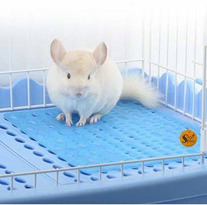 Sage Square Comfortable Cage Floor Mat for Healthier Paw of Rabbit (1 Piece)Random Color Pet Litter Tray Refill