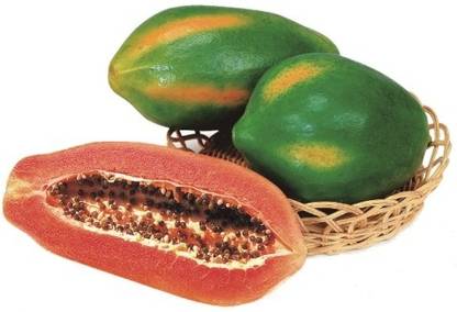 known you seed Papaya Red Lady (786) F1 Hybrid Known-You Seed India, Taiwan Papaya Red Lady Seed