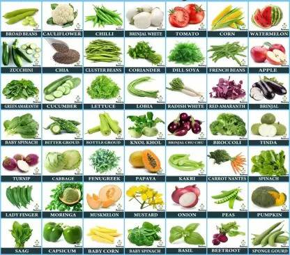 Paawan Organic mix vegetable seeds, 49 type mix Seed