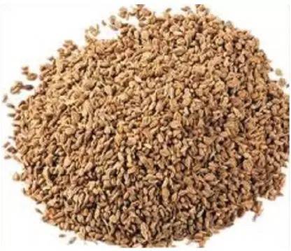 Multi Bazar Parsley/Apium graveolens (1 Kg) Seed