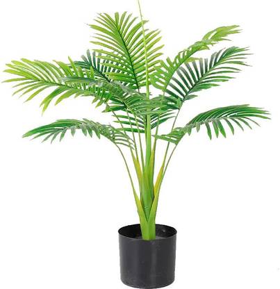 Kayra Decor Pygmy Artificial Palm Tree for Home Decor Big Size with Pot (Plam Tree 3 Feet) Artificial Plant  with Pot