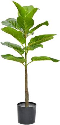 Kayra Decor Artificial Fiddle Leaf Fig Tree for Home Decor with Pot (Green 1 Piece) 2.5 Feet Artificial Plant  with Pot