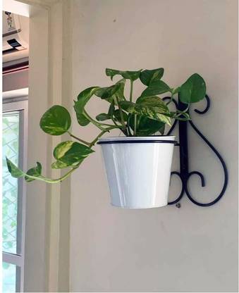 TheBuy Collection Wall Mount Metal Planter Stand with Round Galvanized Bucket (White) Plant Container Set