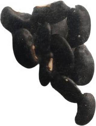HOIVA Kidney Beans Black (Rajma) Seed
