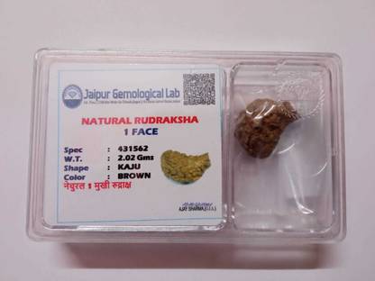 डिवाइन रुद्र एंड एस्ट्रो वास्तु 1 Mukhi Rudraksha लकड़ी