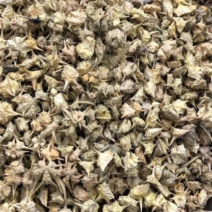 Dirghaanshi Gokhru Chota, Gokhroo Chota, Pedalium Murex, Small Caltrops, Gokshura, Tribulus Terrestris Seed