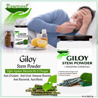 Rawmest Best Quality Giloy Powder/Guduchi/Tinospora cordifola Powder | Immunity support
