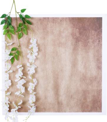 The Decor Cycle Photography Background, Backdrop, Photoshoot backdrop Reflector