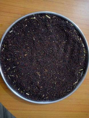 SABHA DARJEELING TEA Seed