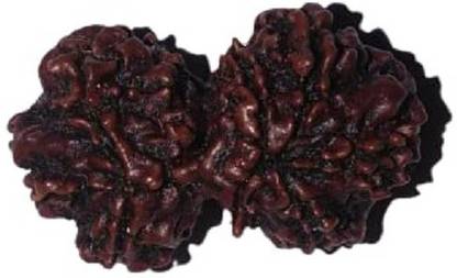 पांडे ब्रदर माला स्टोर्स 10 Mukhi Gauri Shankar Rudraksh Top Quaity Rudraksha by Lab Certified (Brown) मेटल लॉकेट