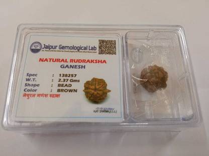 डिवाइन रुद्र एंड एस्ट्रो वास्तु Ganesh Rudraksha Seed लकड़ी