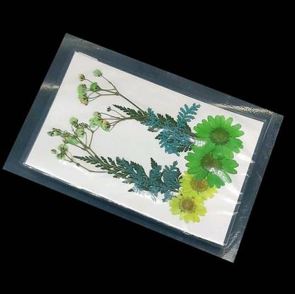 Artool DF6-Dried Pressed Flower for Resin Craft, Pendant Jewelry Candle Making Multicolor Dried Sticks Artificial Flower