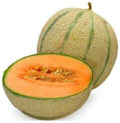 Gromax India Special Summer Variety Muskmelon Madhur Ras Fruit Seeds For Your Garden Seed