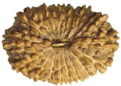 RATAN BAZAAR Best and Natural 18 Mukhi Rudraksha For Men Wood