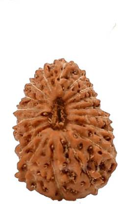 RATAN BAZAAR 18 Mukhi Rudraksha Colour: Brown for Men Wood