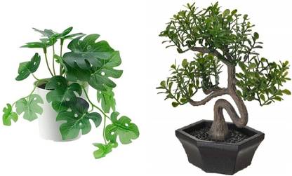 IKEA Bonsai Artificial Plant  with Pot