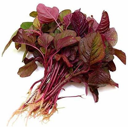 Aywal Amaranthus Leaf Cholai Red Saag Seed