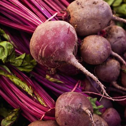ANGIOOUTLETS Beat root vegetables 30-40 seeds pack of 5 Seed
