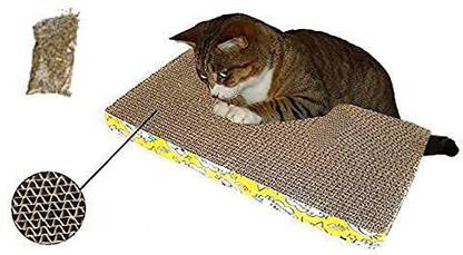 Sage Square Jumbo Size Scratching Board Scratch Pad/ Toy with Catnip for Cat Green Color Jute Tough Toy For Cat