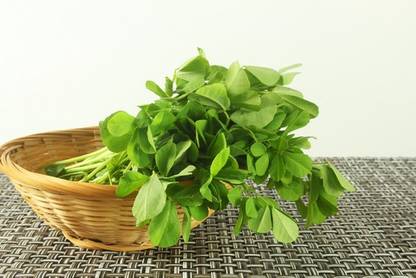 MORWINS FENUGREEK LEAVES / METHI DESI VEGETABLE Seed