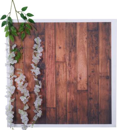The Decor Cycle Photography Background, Photography Backdrop, Photoshoot Backdrop Reflector