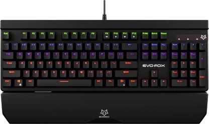 AMKETTE EvoFox Katana Mechanical and Programmable LED Wired USB Standard Gaming Keyboard Compatible with Desktop, Laptop, Mac