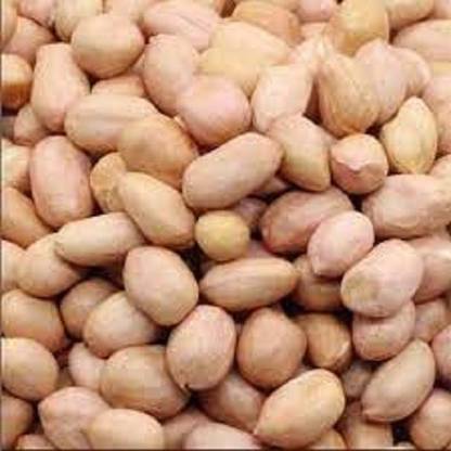 SDC Groundnut Seed, Shengadana Seed