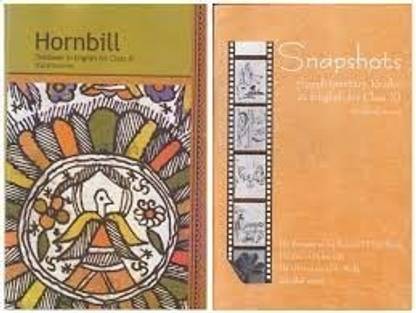 Ncert Class 11 - Hornbill & Snapshots - 11072 & 11073 (Set Of 2 Books)