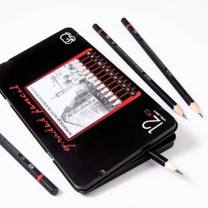 IORAA 12 Pc Sketch Pencil Set for Artists Drawing Pencils for Artists Graphite Pencils Pencil