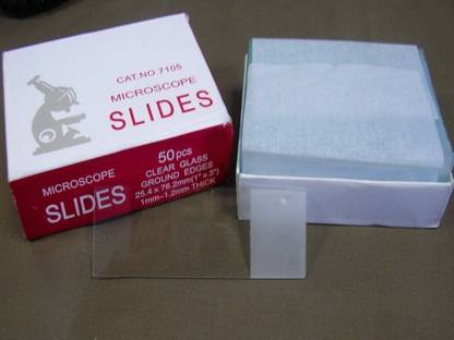 Myra Scientific Microscope Glass Slides (Pack of 50 slides) Microscope Slide Box