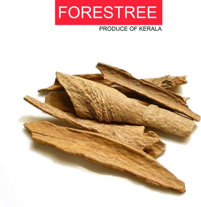 Forestree Lodhra, Pachotti tholi Seed